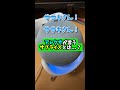 アレクサの言うサプライズとは・・・？　#アレクサ #shorts