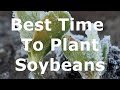 Evaluating the Optimum Planting Date for High Yielding Soybeans