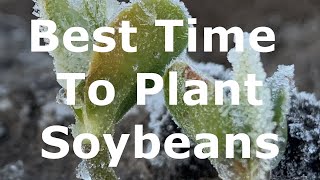 Evaluating the Optimum Planting Date for High Yielding Soybeans