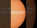 Observing Sunspot on 9/9 Day #shorts