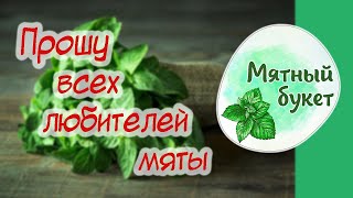 Просьба к любителям мяты