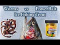 Worms vs PowerBait : Ice Fishing Trout