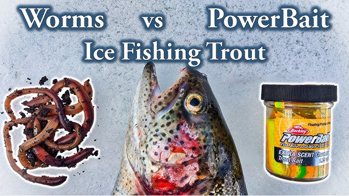 Best Ice Fishing Lures for Brook Trout 