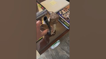 Pinched #Irrigation Line we found on a Clients Lawn Sprinkler System