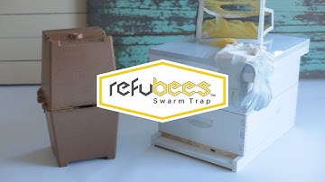 refuBees Swarm Trap™ - Crowdfunding Campaign