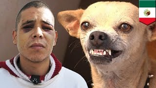 Hombre mata a su amigo, le corta el pene, y luego se lo da de comer a su perro