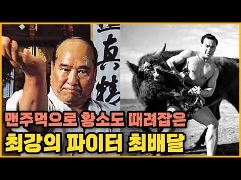 [베.인.사] 돌도 부수고 소뿔도 부수는 극진공수도의 창시자 &amp;quot;바람의 파이터&amp;quot; <strong>최배달</strong>!  [베스트인물사전]
