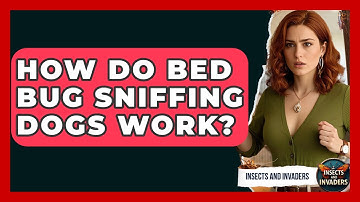 How Do Bed Bug Sniffing Dogs Work? - Insects and Invaders