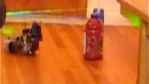 Boe Bot Gripper with 2D Laser vision R/C assist test 1