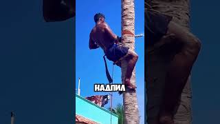 Самый эффектный процесс с деревом 😳 #short