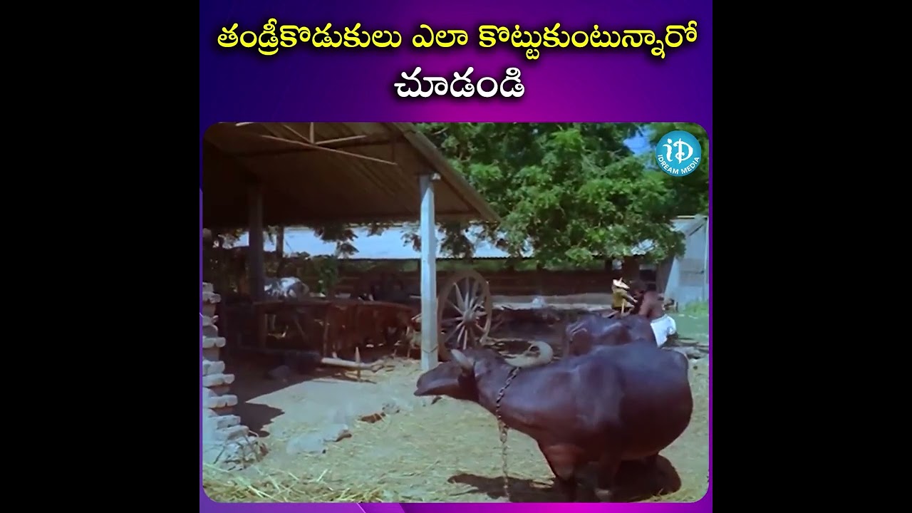 తండ్రీకొడుకులు ఎలా కొట్టుకుంటున్నారో చూడండి 😂 | Badi Movie Scene | @iDreamScoop