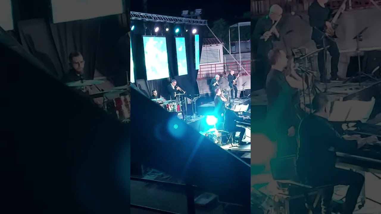 Concert de Vincent niclo