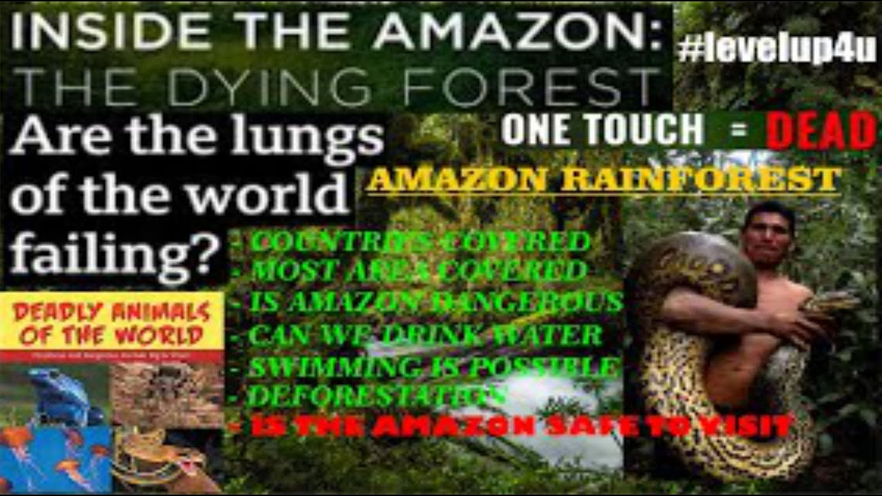 Amazon Rainforest Lungs Of The EarthAmazon Rainforest SecretsAmazon Rainforest Survival