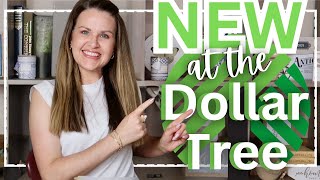 Dollar Tree Haul | Let’s Hang Out ❣