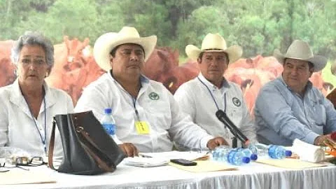 LIBERATO GARCA SNCHEZ TOMA LAS RIENDAS DE LA GANAD...