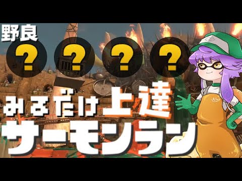 【乱獲】野生のプロでクマフェス全力納品する！！🐻【スプラトゥーン3/サーモンランNW】