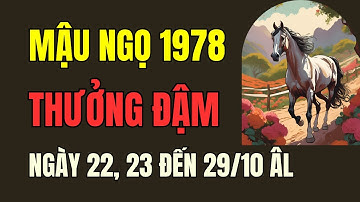 Tử vi Tuổi Mậu Ngọ 1978: Ngày 22, 23 đến Ngày 29 Tháng 10 âm lịch. Thần Tài chỉ điểm, cơ hội tài lộc
