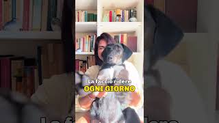 Cose che faccio per la mia umana… #perte #butifyoucloseyoureyes #pets #lifeisbutadream #neiperte