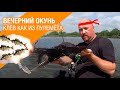 Окунь как из пулемета! Ловля окуня вечером с берега на спиннинг