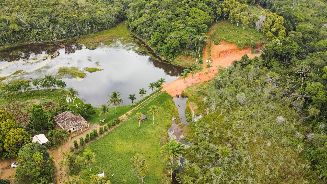 Fazenda à venda com 45 hectares em Valença - Bahia