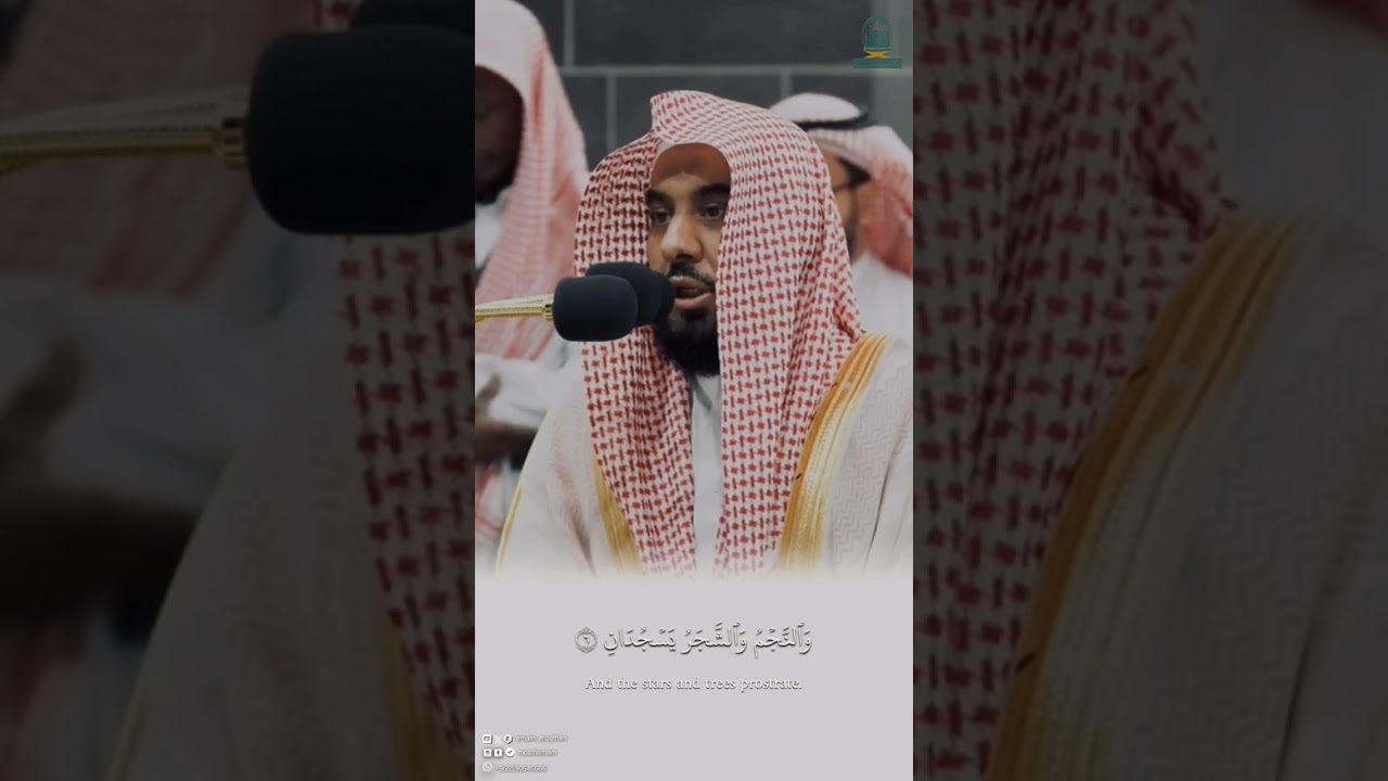 تبارك الله! بأدائه العذب المطمئنّ يستفتح الشيخ #عبدالله_الجهني سورة الرحمن فجر غرة ذو القعدة 1445هـ