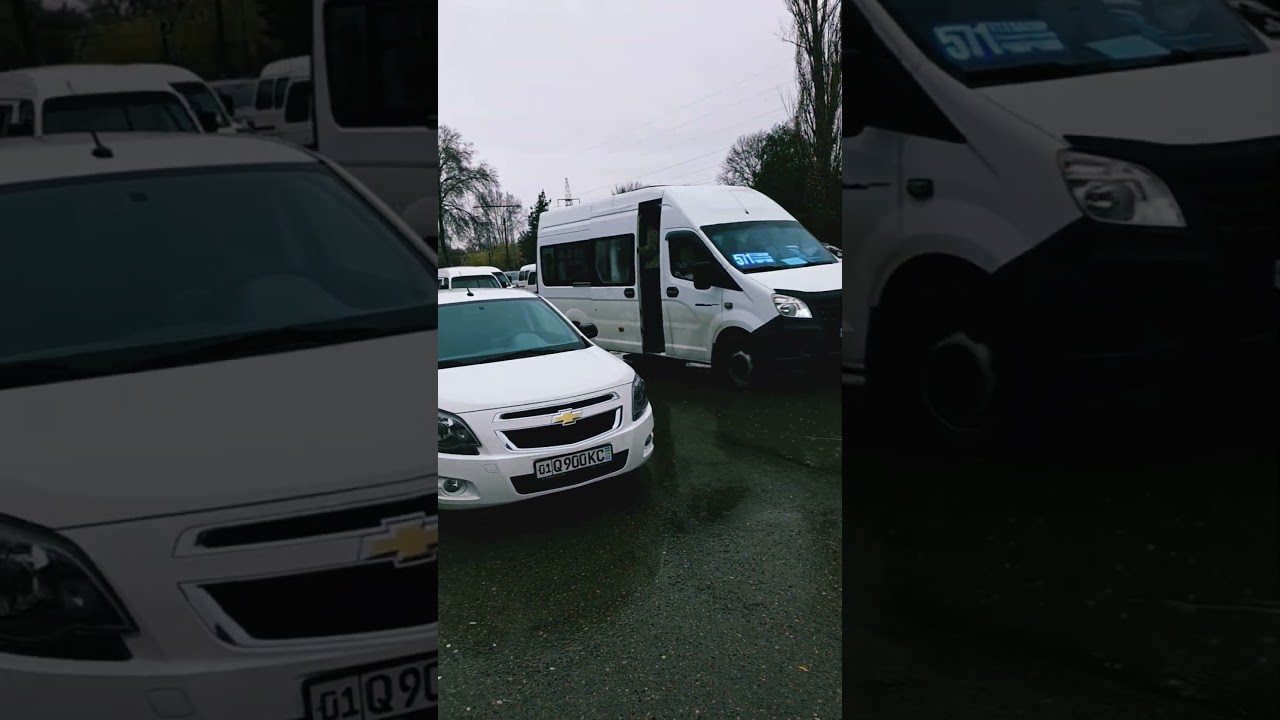 12 февраля 2026 г.