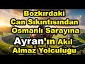 Bozkırdaki Can Sıkıntısından Osmanlı Sarayına: Ayranın Akıl Almaz Yolculuğu