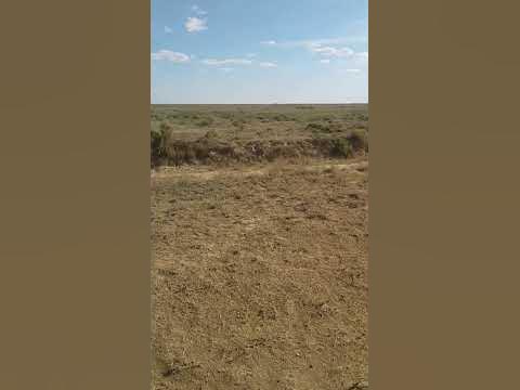 ию ль - YouTube