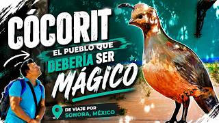Cócorit, el Pueblo que debería ser Mágico | De viaje por Sonora, México