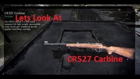 Dayz - Lets Look At the CR527 Carbine