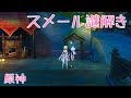【原神】スメール謎解き