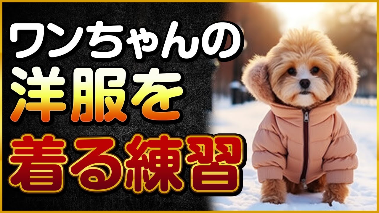 ワンちゃんのお洋服の着せ方 - YouTube