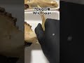小さい牙かと思ったら#いのししの人 #骨格標本 #猪 #狩猟