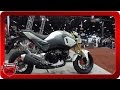 2017 Honda Grom Motorcycle Walkaround AIMExpo 2016