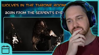 A FANTASTIC ENDING // WOLVES IN THE THRONE ROOM - Born From the Serpent's Eye // Composer Reaction