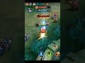 silvini exp