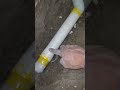 pvc pipes connection#pipes maintance#shorts#youtube shorts#ecp max #viral#new shorts