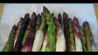 How to Plant Asparagus Biodynamic French Intensive Style 2-18-2010 See all six videos #2