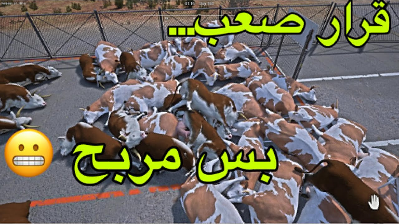 من مزرعة هادئة إلى تجارة مربحة 💰 |Ranch Simulator