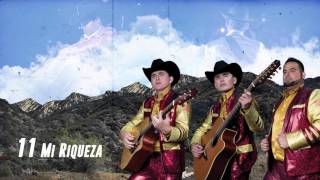 Mi Riqueza - Los Plebes del Rancho de Ariel Camacho - DEL Records 2016 chords