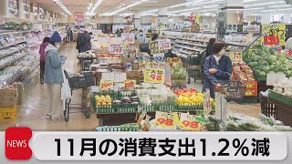 11月の消費支出　1.2％減（2023年1月10日）