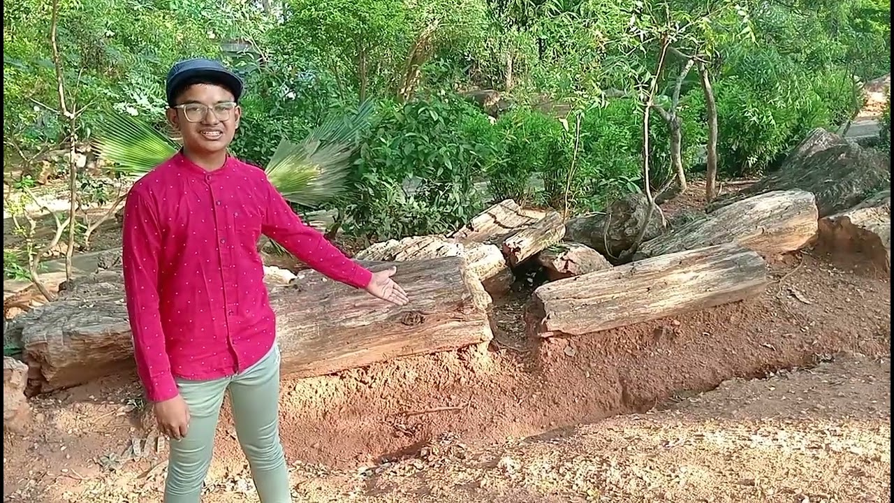 National Fossil Wood Park, Thiruvakkarai