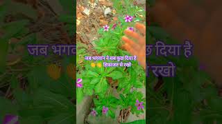 Bhagwan Ne Jo sab kuchh diya hai usko kadra karo 🌿🌺🌹💯🙏