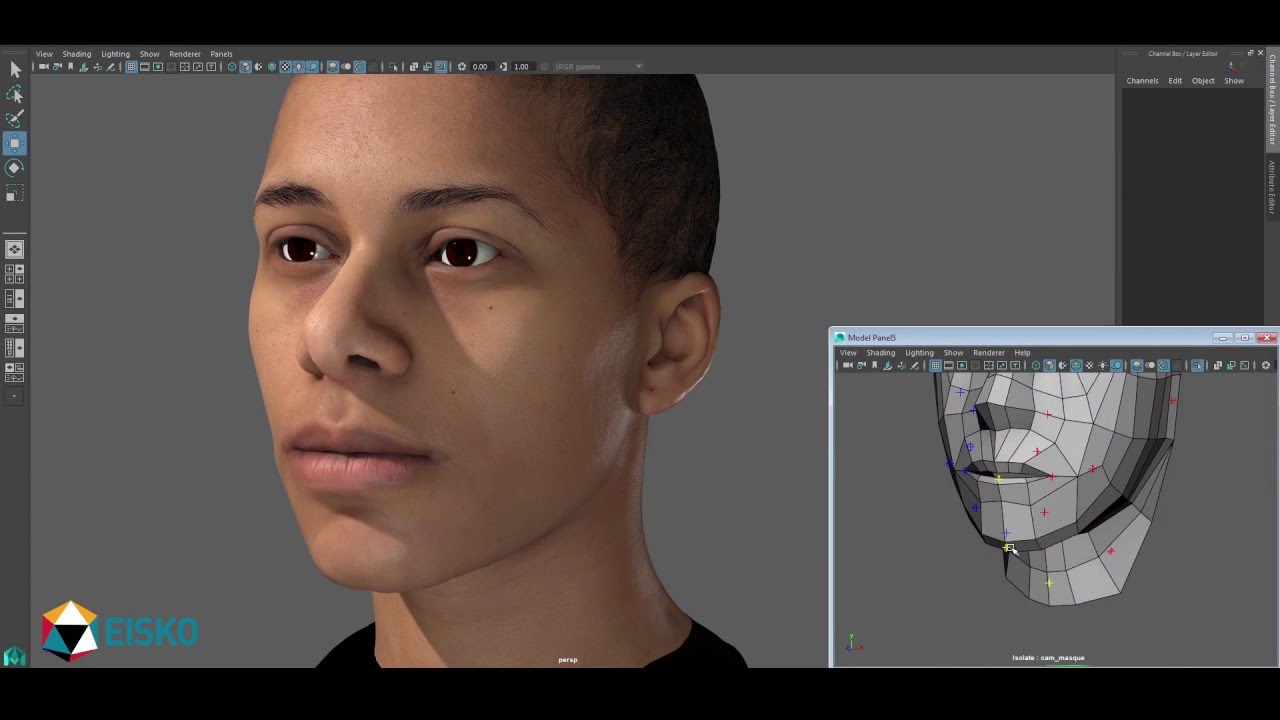 How To Edit Facial Rigs Lasoparev