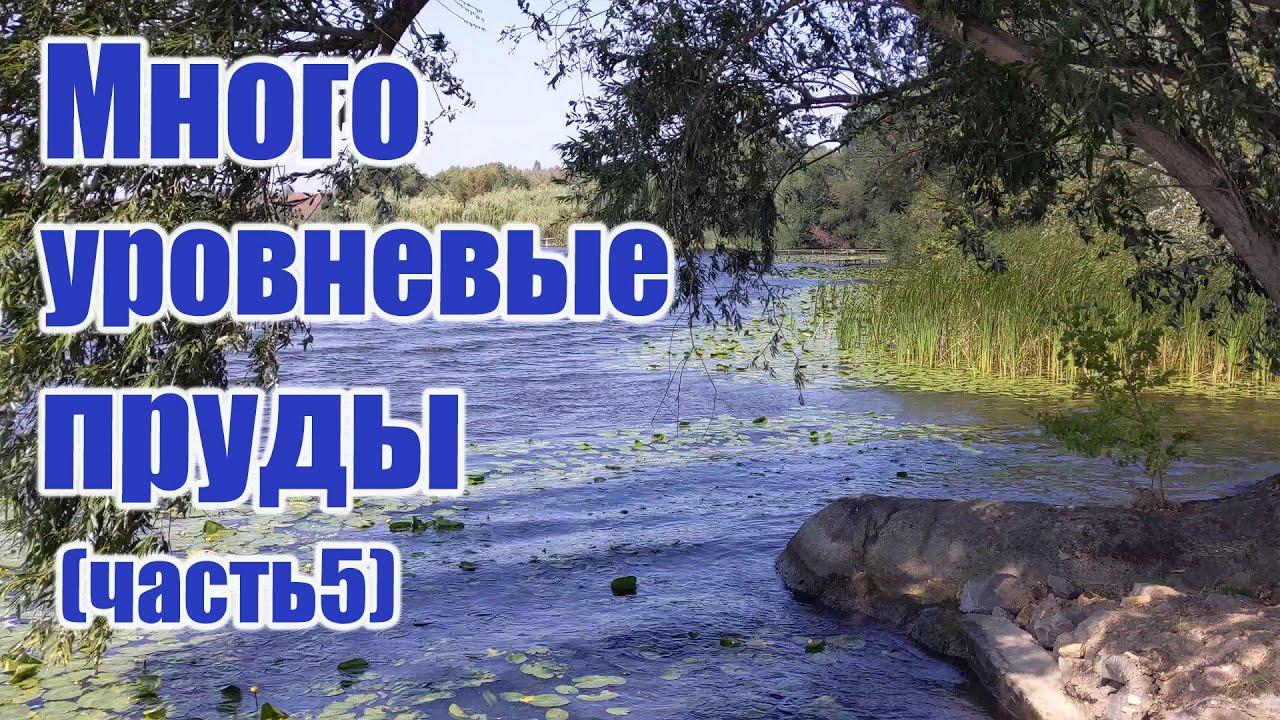 Многоуровневые пруды (часть5)