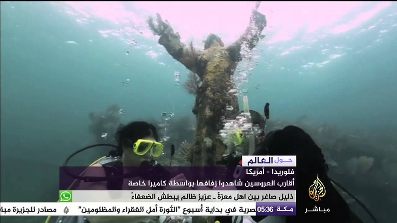 حفل زفاف تحت الماء وسط أسماك وكائنات بحرية