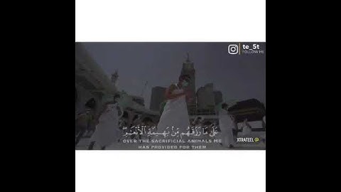 القارئ ياسر الدوسري 💕أجمل حالات واتس اب عن الحج 💕 آيات عن الحج 💕 ستوريات انستغرام دينية 💕