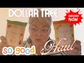 A DOLLAR TREE HAUL YOU DON’T WANT TO MISS
