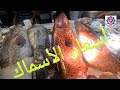 أسماك وأسعار اليوم بمحل البحر الأحمر الناجل واللوت والحارد والكابوريا القنال الحارة الأولى يمين