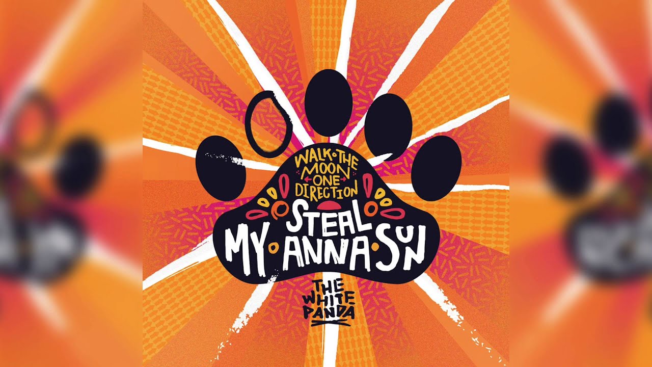 The White Panda - Steal My Anna Sun (WALK THE MOON // One Direction)